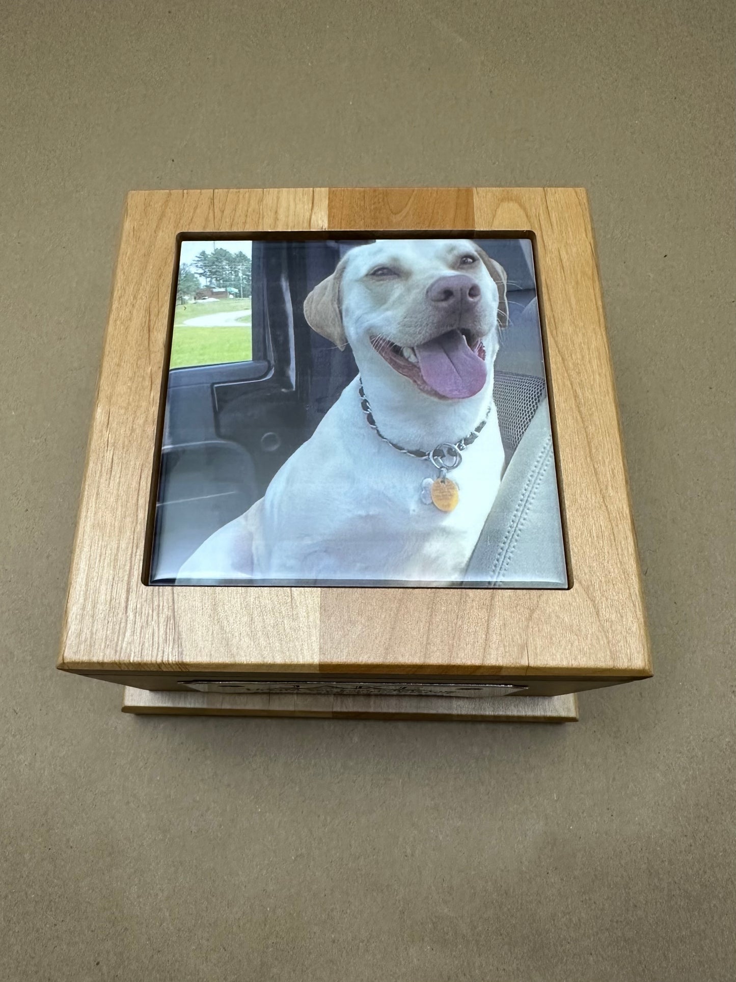 Pet Urn